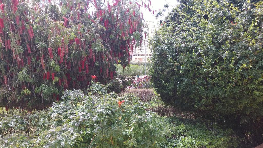Primavera Sun Portimão Εξωτερικό φωτογραφία